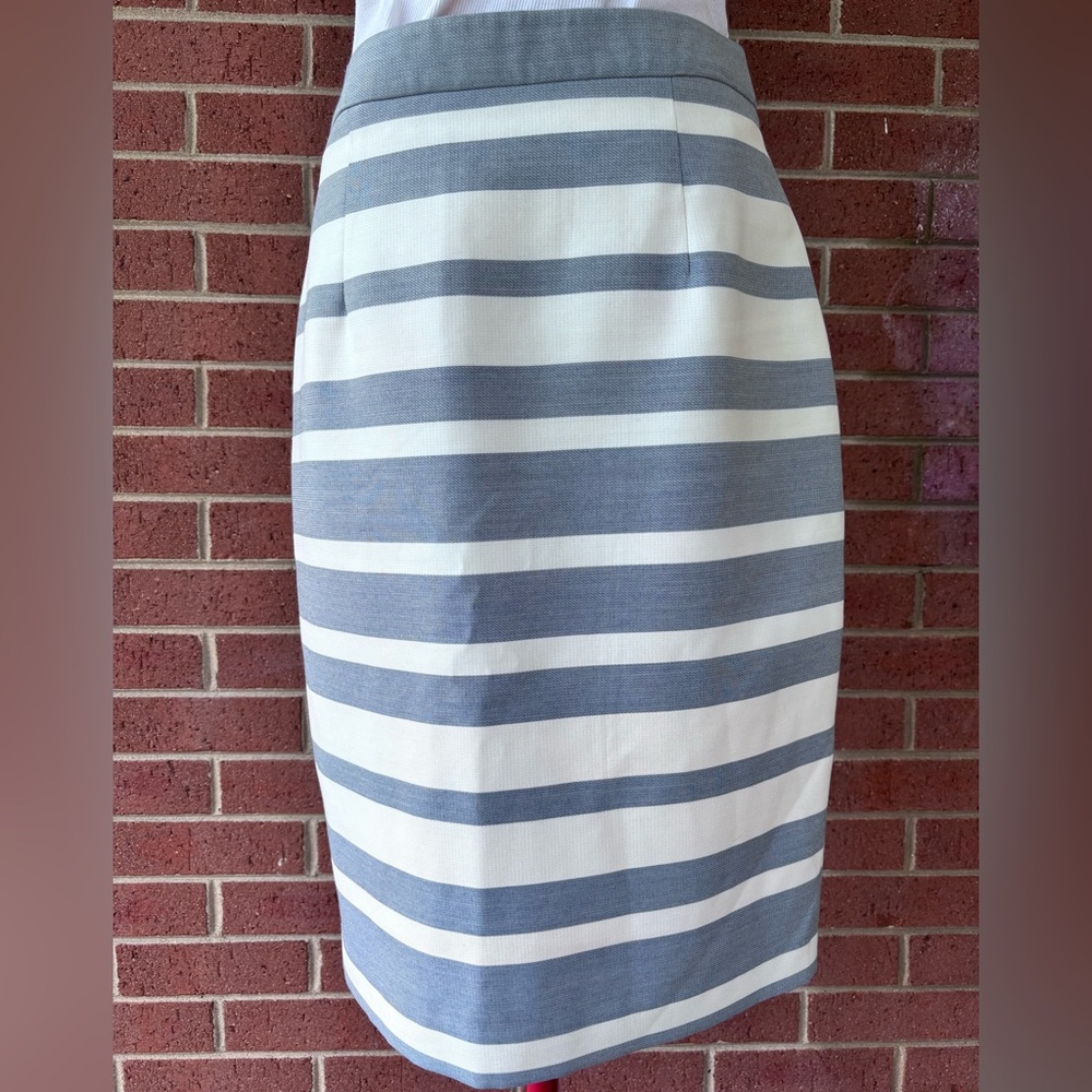 Woman’s Size 10 Striped Blue and White Skirt